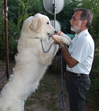 04_ottobre_2009_07