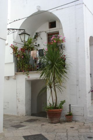 12_21_maggio_2007_foto_cisternino_01
