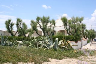 12_21_maggio_2007_foto_costa_salentina_jonica_06