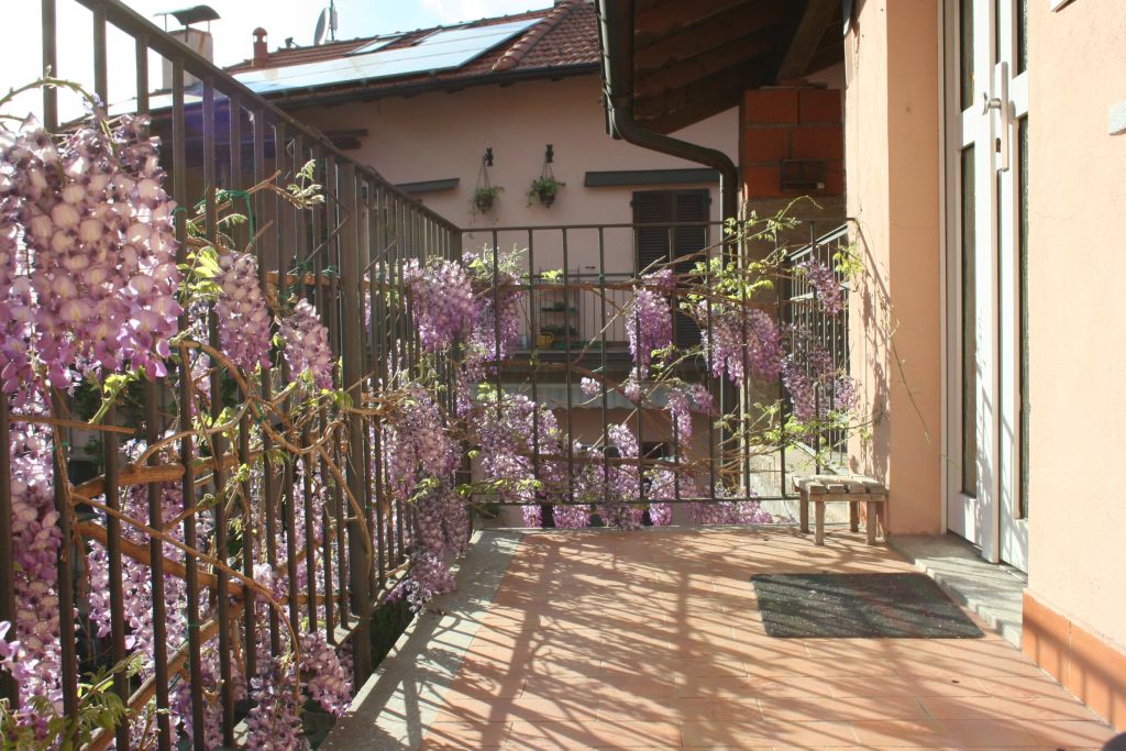 casa_barzola_07