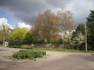 dongen_june_04_01