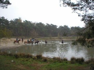 dongen_june_04_lago_01