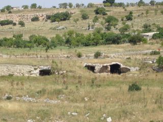 ferie_charles_puglia_01_16giu_2007