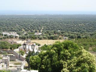 ferie_charles_puglia_01_21giu_2007