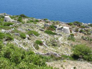 ferie_charles_puglia_03_18giu_2007