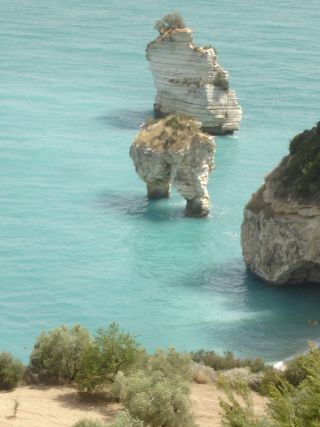 ferie_charles_puglia_03_25giu_2007