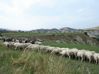 ferie_charles_puglia_04_15giu_2007