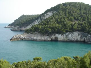 ferie_charles_puglia_05_25giu_2007