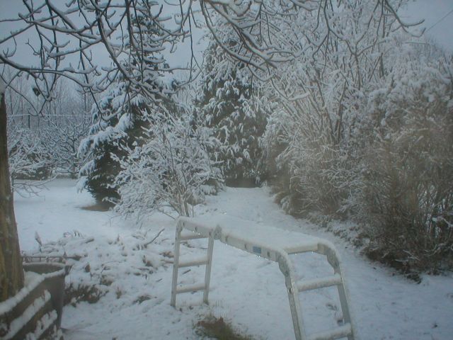 novembre_22_2008_01