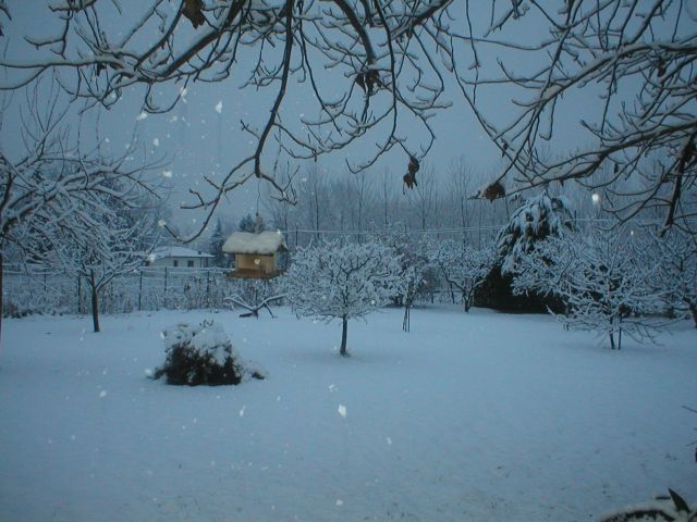 novembre_22_2008_02