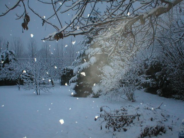 novembre_22_2008_03