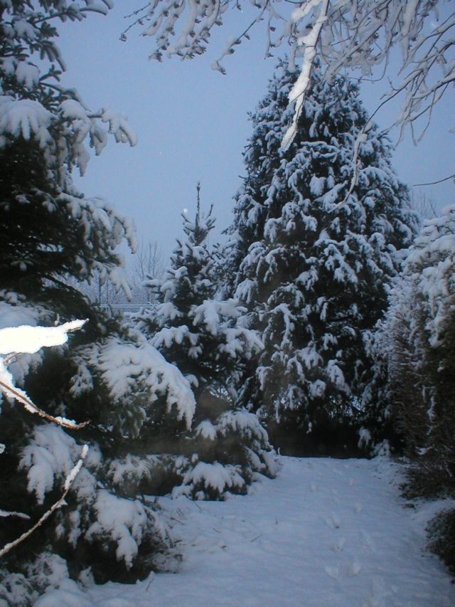 novembre_22_2008_04