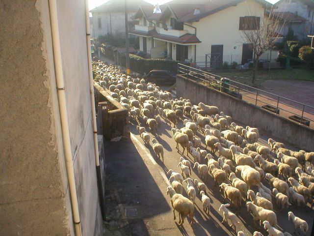 novembre_22_2008_06