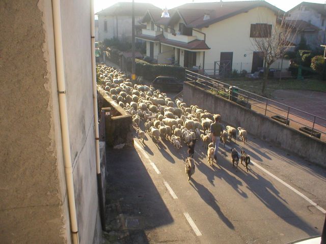 novembre_22_2008_07