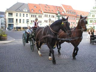weimar_taxi_turistico_01a