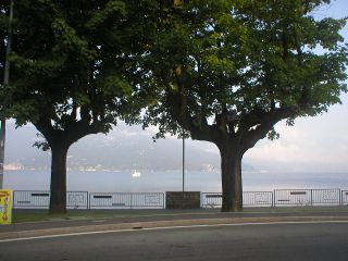 set04b_2005